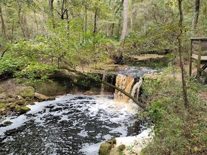 Falling Creek Falls