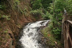 Congdon Park