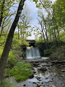 Bentley Bond’s Trailhead bear Second Creek