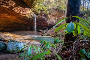 Copperas Falls trail head