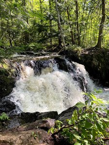Wyandotte Falls