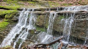 Bakers Bluff