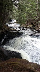 Colette Trail