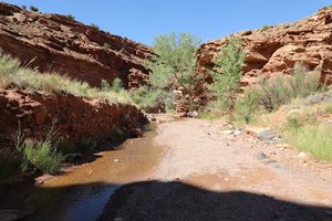 Sulphur Creek Pool