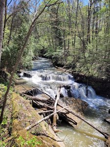 The Richard & Lucile Durrell Edge of Appalachia Preserve (merge)