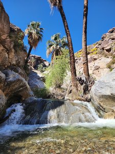 Murray Canyon Trail