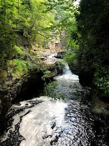 Nay Aug Park Gorge