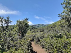 Mules Ear Trailhead