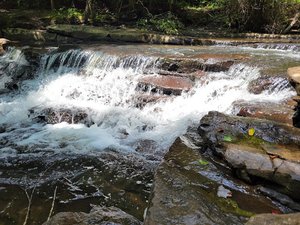 Mann’s Creek Falls