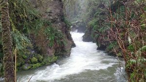 Willaby Creek Falls
